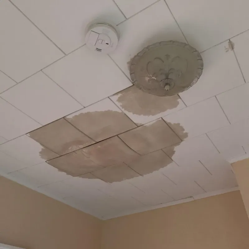 Ceiling Water Damage Repair in Johnson City, TX