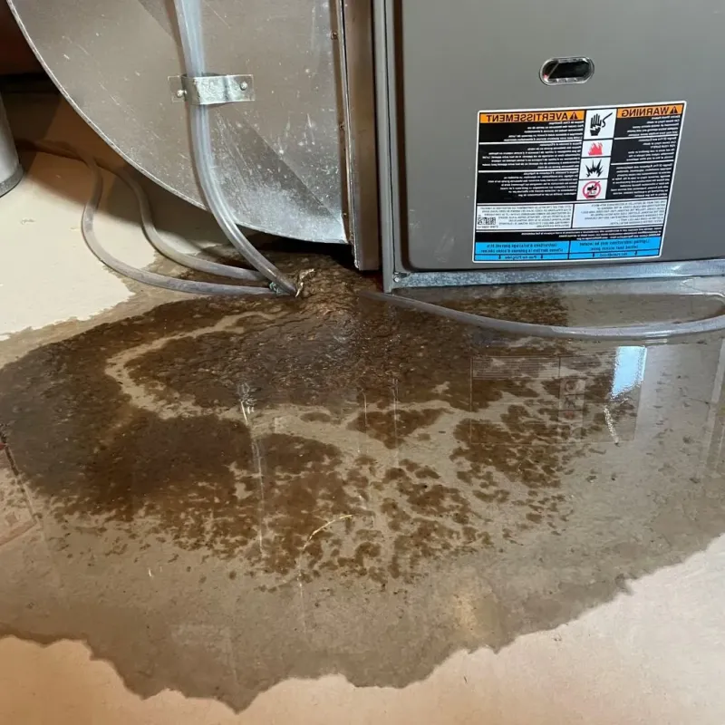 Pipe Burst and Leak Restoration in Johnson City, TX