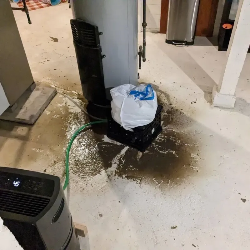 Sewage Backup Cleanup Service in Johnson City, TX